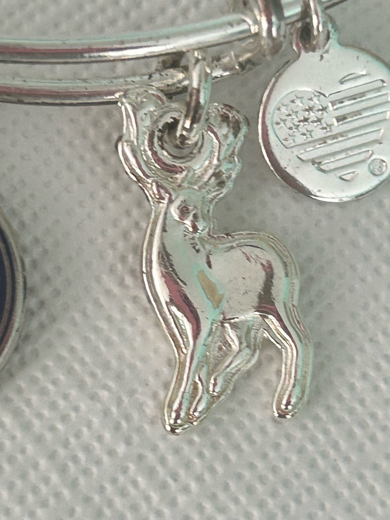 Nwot Harry Potter Alex And Ani Bracelet Expecto Patronum Spell Charm — image 4 of 5